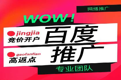 百度竞价排名案例研究：如何制定有效的广告计划？
